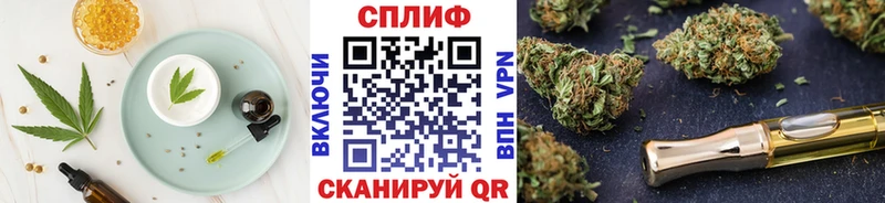 купить наркотики цена  Каспийск  Cannafood конопля 
