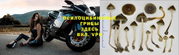 СК Бронницы