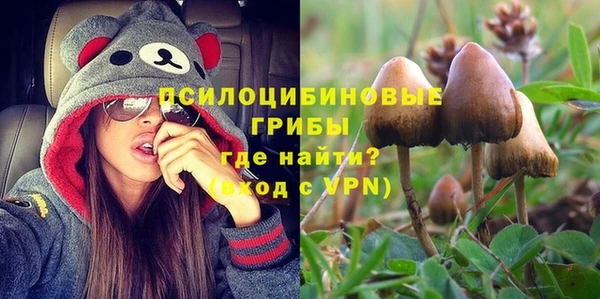 СК Бронницы