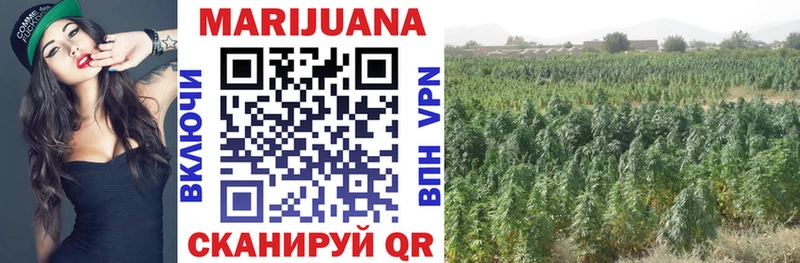 Конопля Ganja  Каспийск 